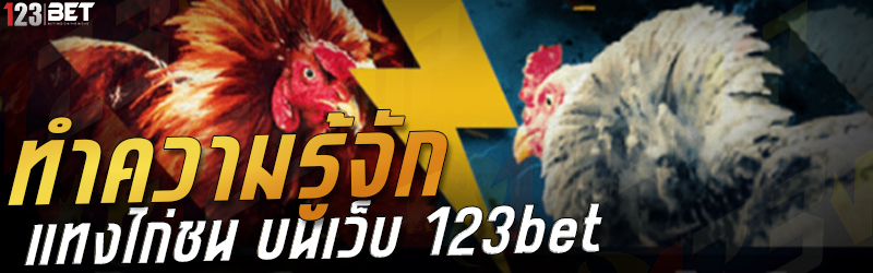 ทำความรู้จัก แทงไก่ชน บนเว็บ 123bet