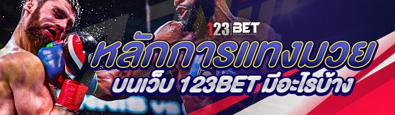 หลักการแทงมวย บนเว็บ 123bet มีอะไรบ้าง