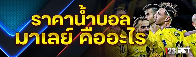 ราคาน้ำบอลมาเลย์ คืออะไร