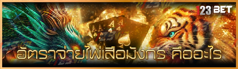 อัตราจ่ายไพ่เสือมังกร คืออะไร